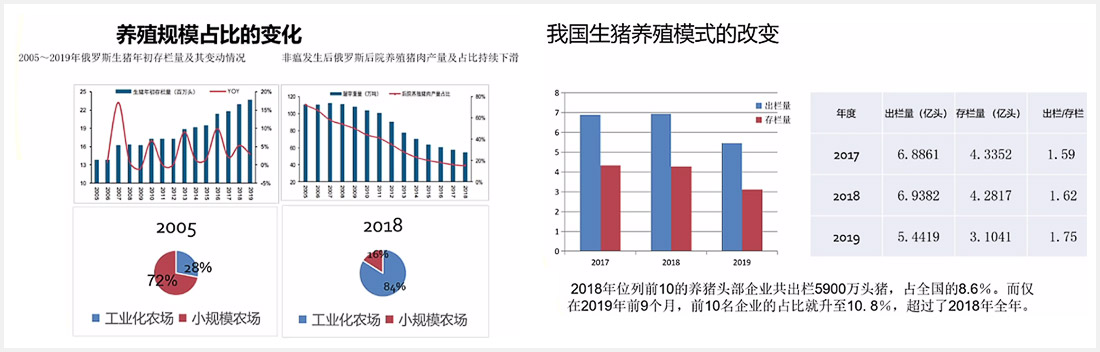 1597653239106981.jpg 04-6.jpg