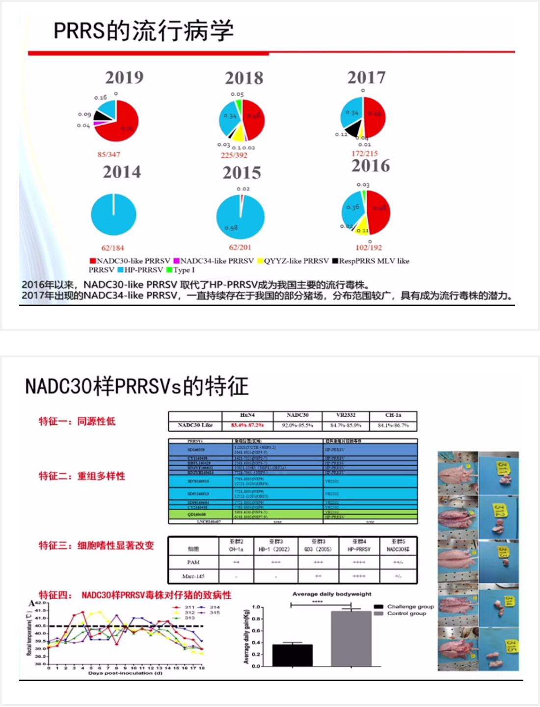 1597653292125691.jpg 04-8.jpg