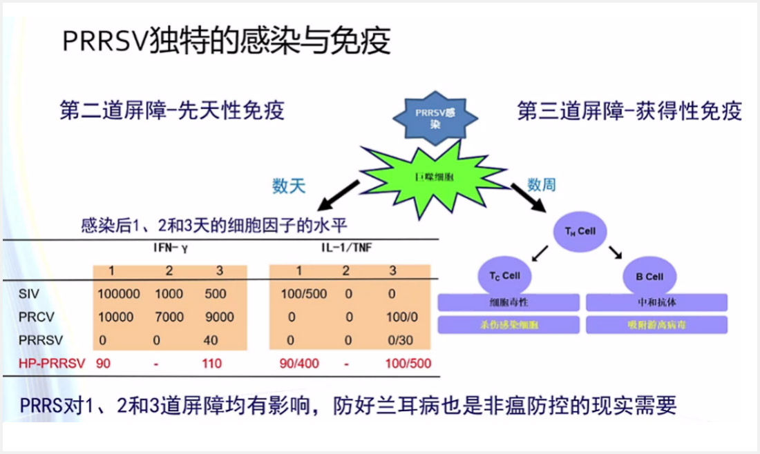 1597653349829695.jpg 04-12.jpg