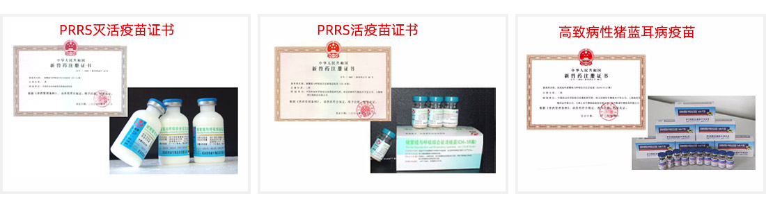 1597653391832277.jpg 04-14.jpg