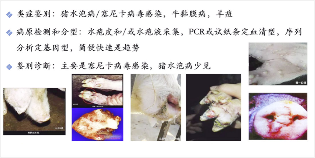 1597655959115385.jpg 3-4.jpg