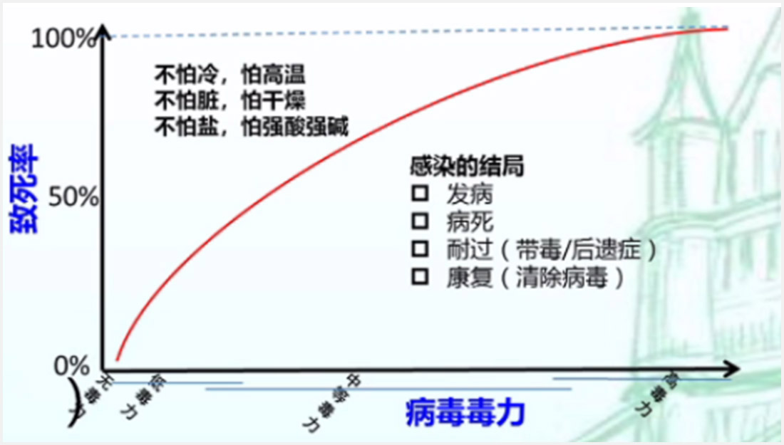 1597656514272821.jpg 2-3.jpg