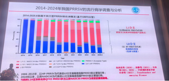 1767150936138527.png image.png